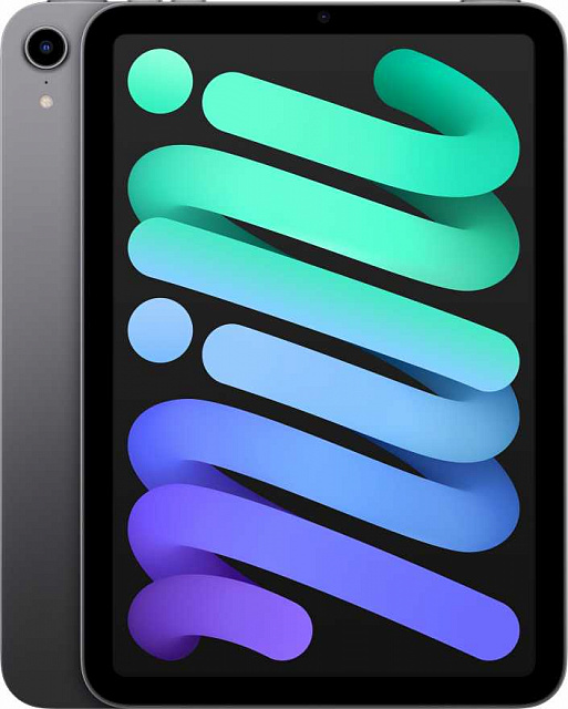 Apple iPad mini 6 (2021) 256GB Wi-Fi серый космос